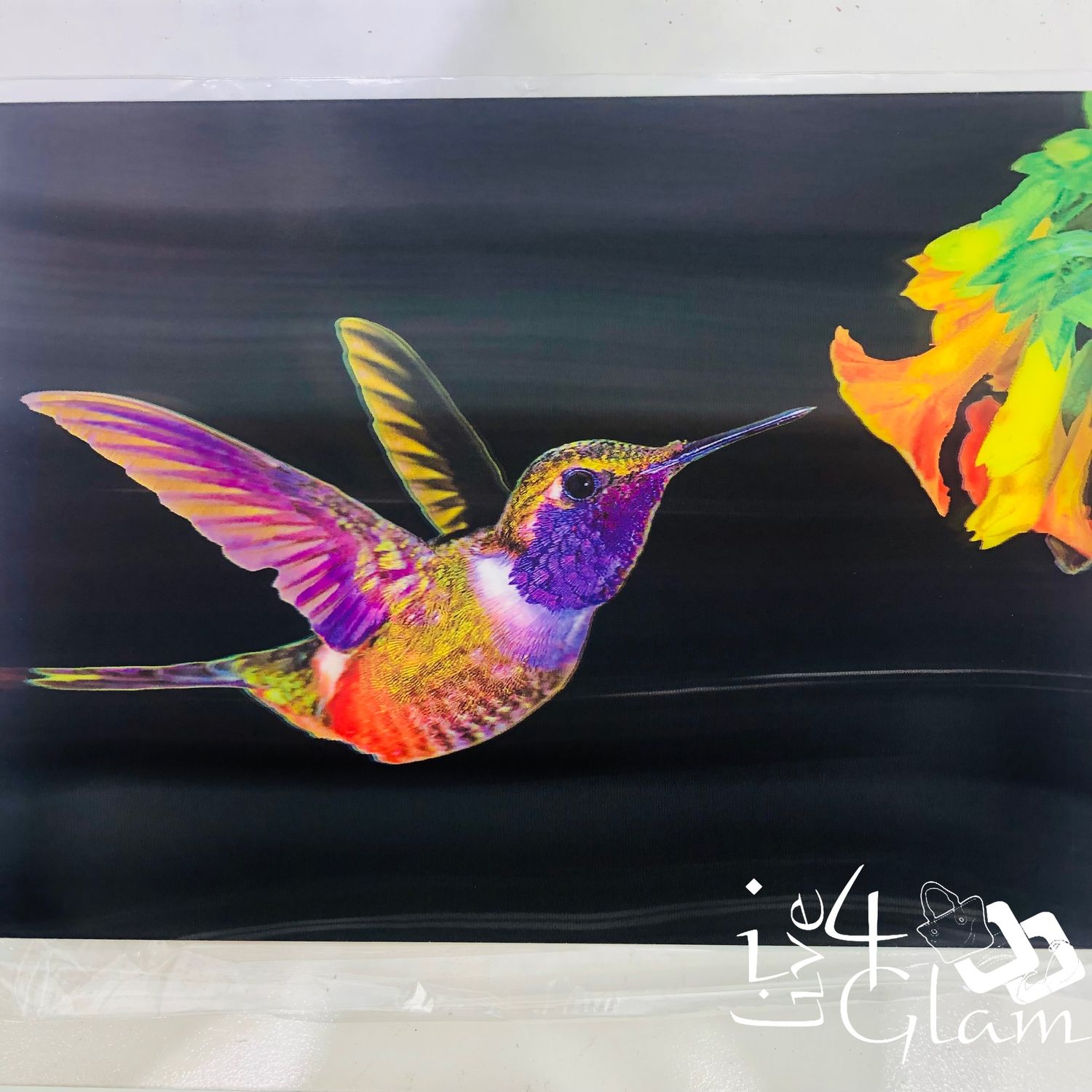 3D Holographic Poster Humming Bird Style 2