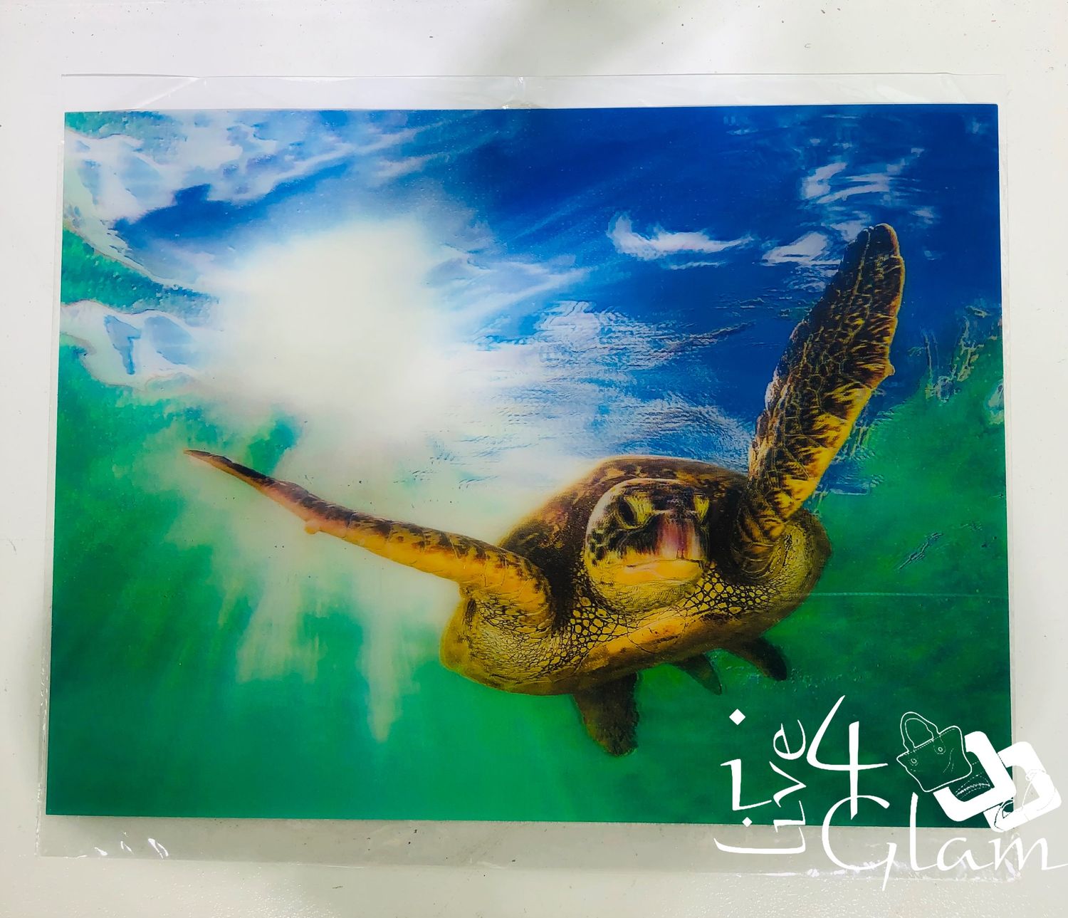 3D Holographic Poster Turtle