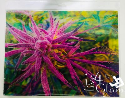 3D Holographic Poster Platinum Buffalo