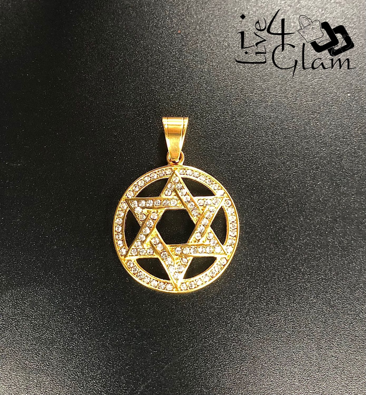 Stainless Steel Cz Star of David Circle Pendant