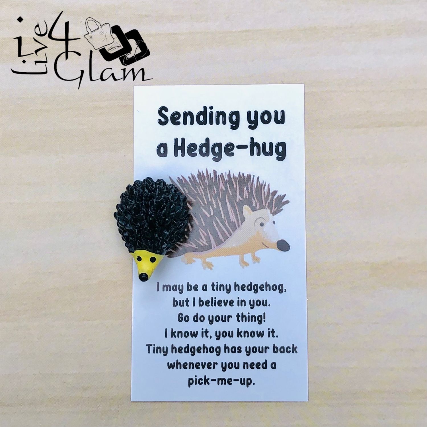 Inspirational Card with Pocket Animal Hedgehog