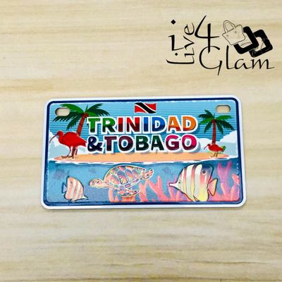 Trinidad and Tobago Magnet Turtle