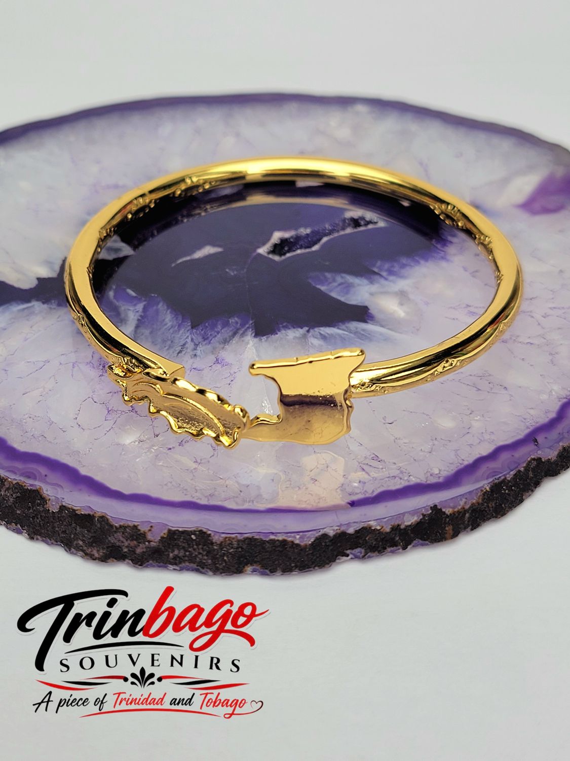 Trinidad Stainless Steel Gold Toned Bangle