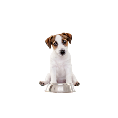 Dehydrated, Air &amp; Freeze-Dried Food