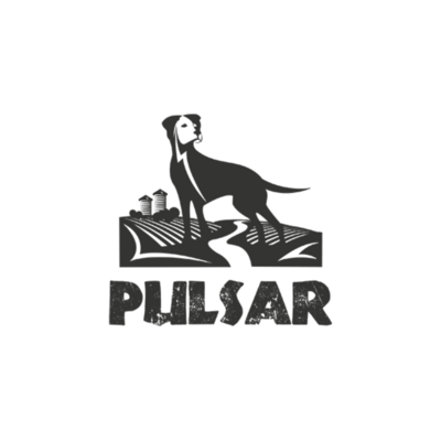 Horizon Pulsar