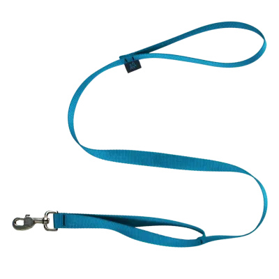 Nahak Double Handle Leash, Aqua