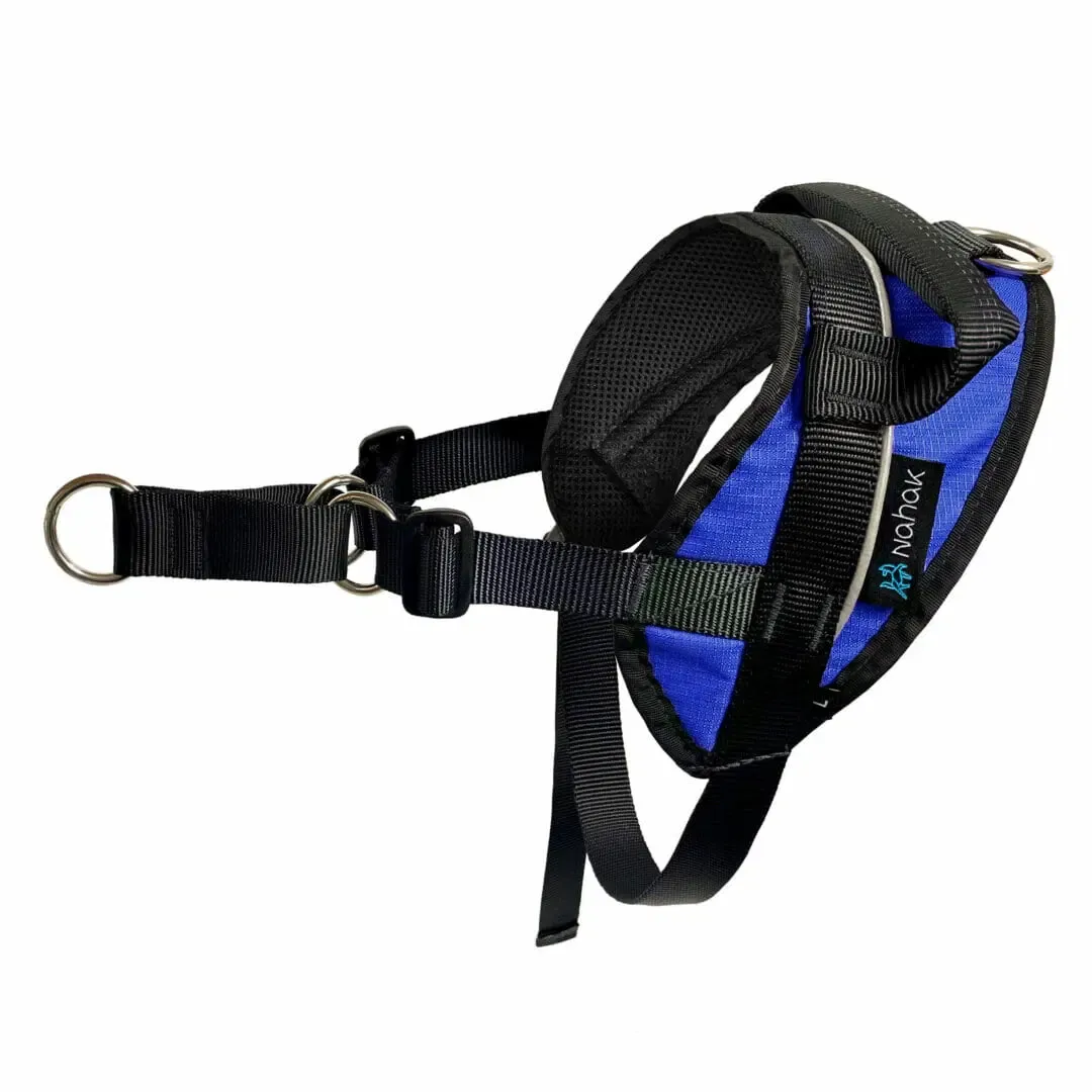 Nahak No Pull Harness, Medium, Blue