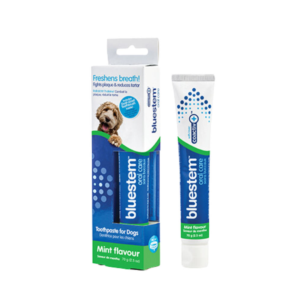 Bluestem Toothpaste Vanilla, 70g