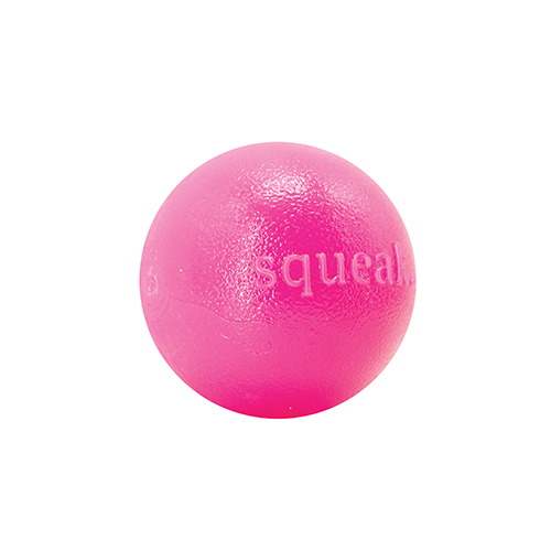 Planet Dog Squeak Ball, Pink