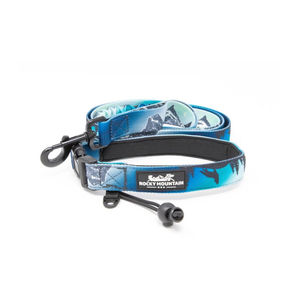 Rocky Mountain Dog, Canmore All-Mountain Dog Leash, Black/Green Northern Lights
