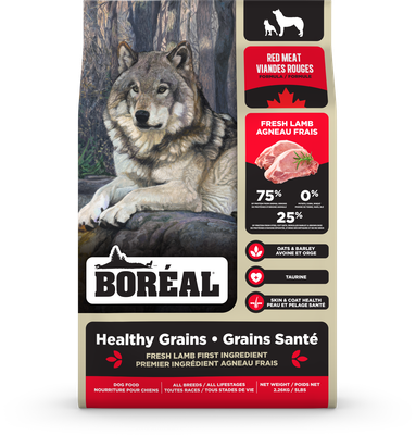 Boreal Dog Kibble, Healthy Grains, Red Meat/Viande Rouge, 10kg
