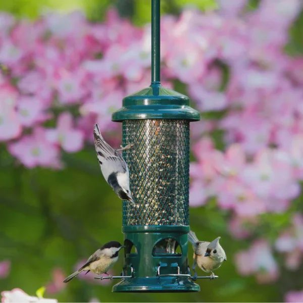 Squirrel Buster Standard 600g