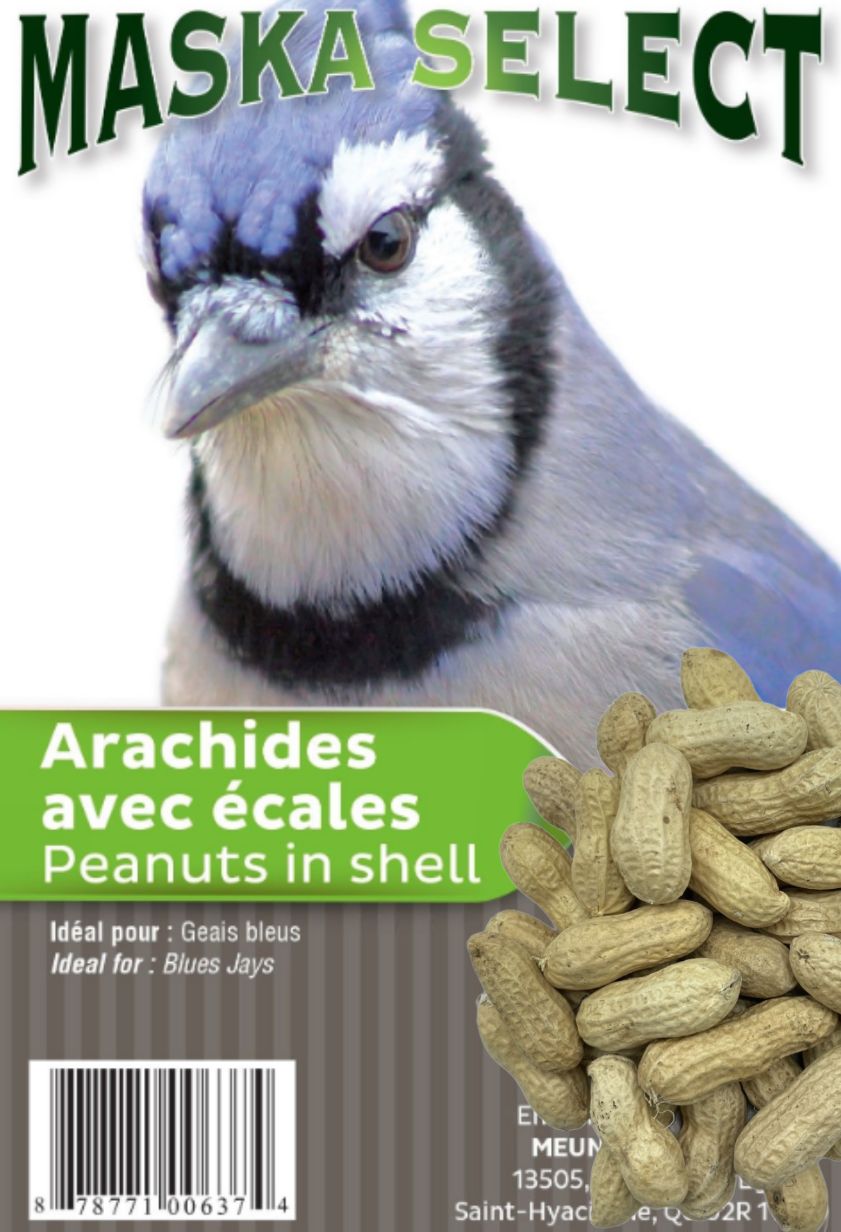 Maska Peanuts in Shells / Arachides en écales, 6kg