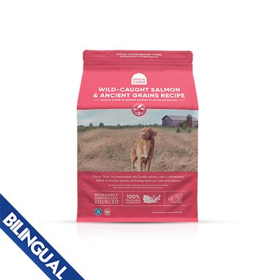 Open Farm Dog, Ancient Grains Wild Salmon / Saumon avec Grains, 4.98 kg