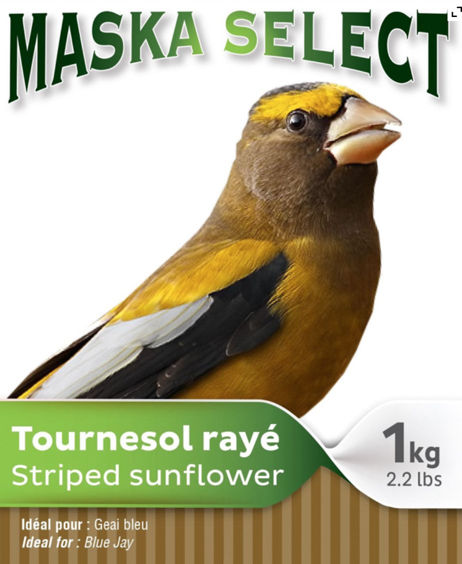 MASKA STRIPED SUNFLOWER 6kg