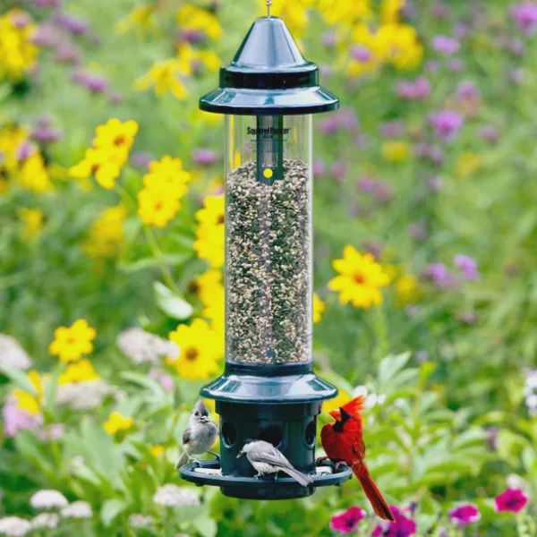 Mangeoire Oiseau Sauvage | Squirrel Buster®Plus | 2.3kg