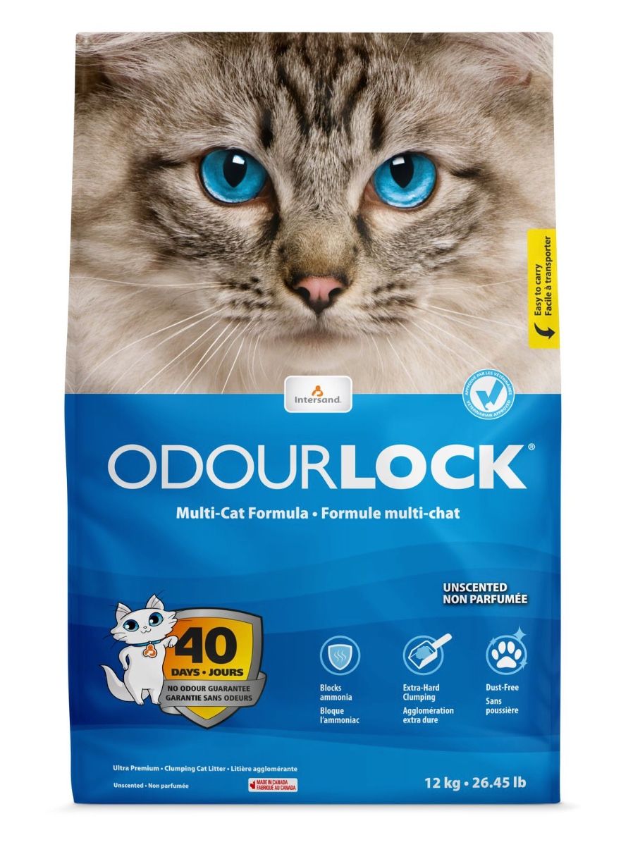 Intersand Odourlock / Litière Agglomérante, Non Parfumée, 12kg