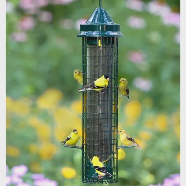 Squirrel Buster Finch 1kg