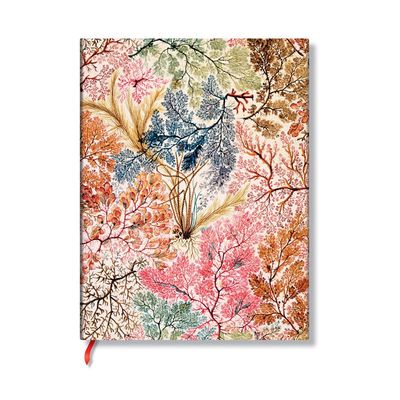 Paperblanks Anemone Mini Lined Softcover Journal, 208pg, 80GSM