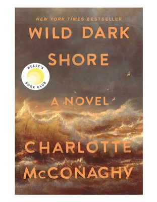 HBC: Wild Dark Shore