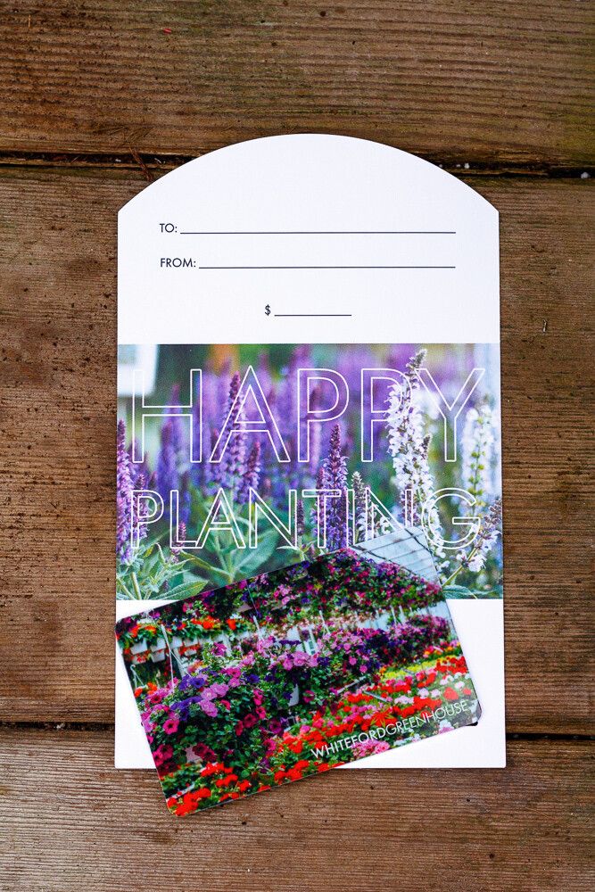 Plant Factory Second Edition 専門書 Rare House Plants