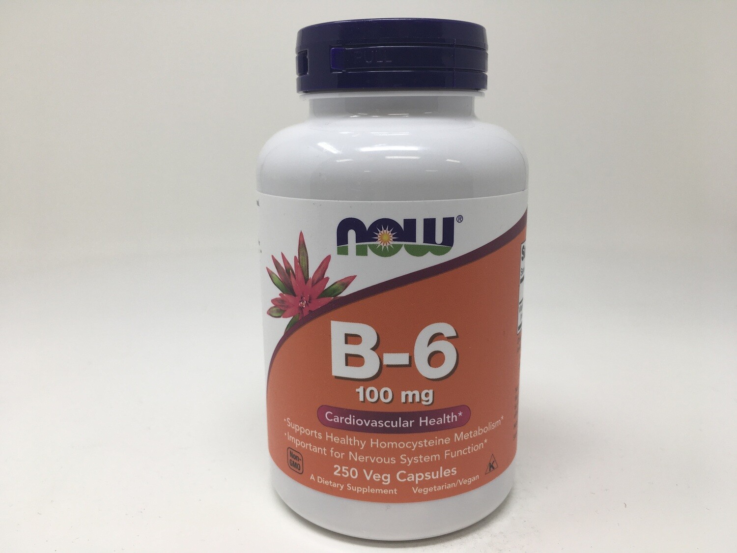 B-6 100mg 250vcap (Now 0458)