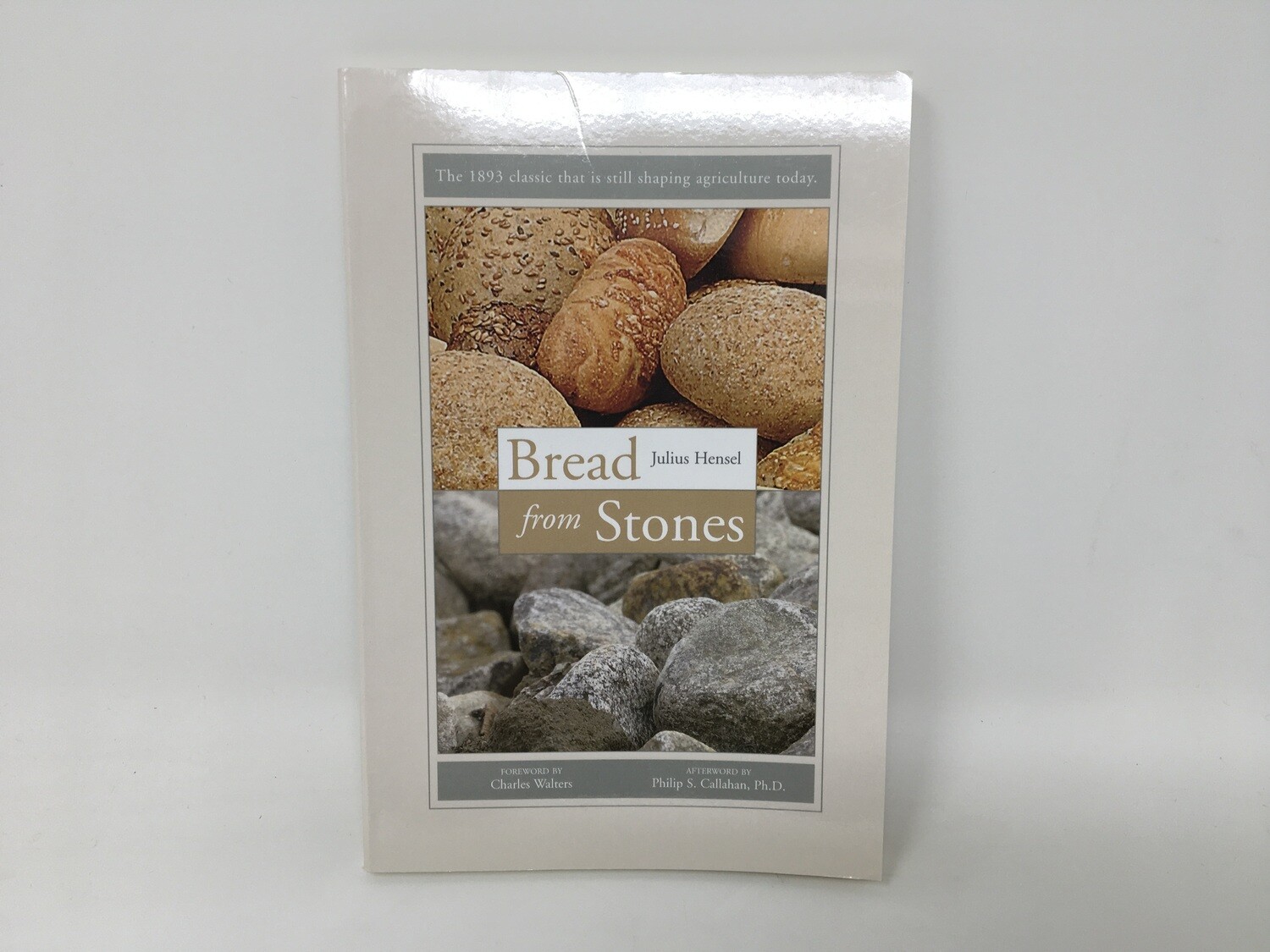 Bread from Stones
