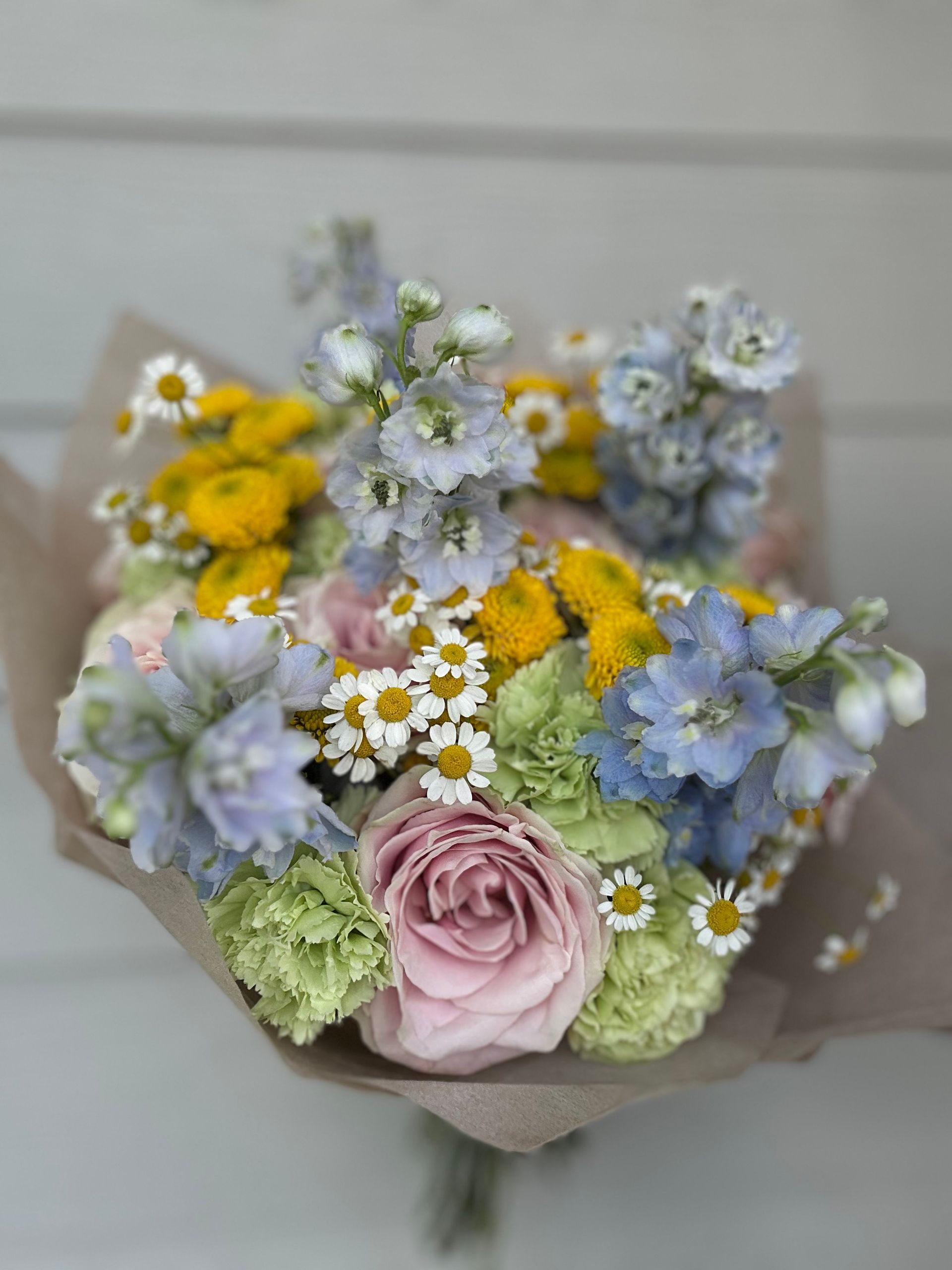 CB-M6 (3 premium delphinium)