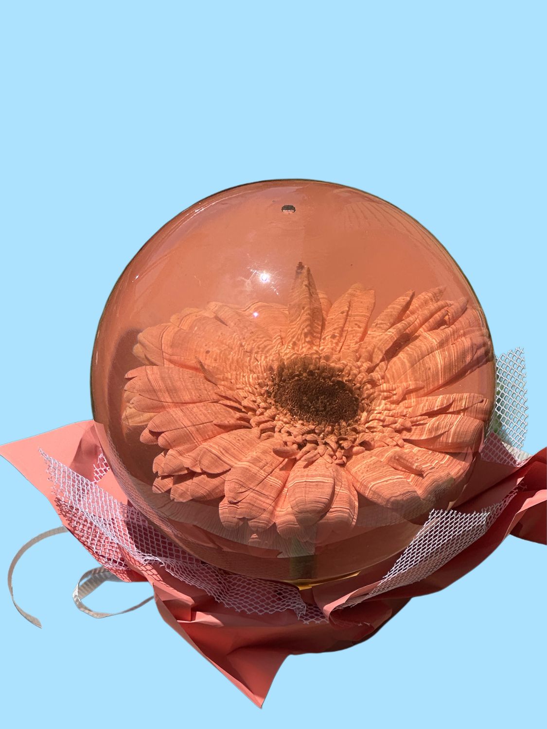 Pink Daisy Globes