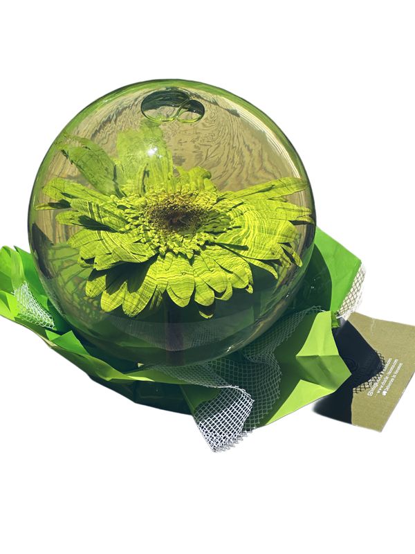 Green Daisy Globes