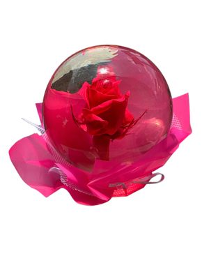 Pink Rose Globe