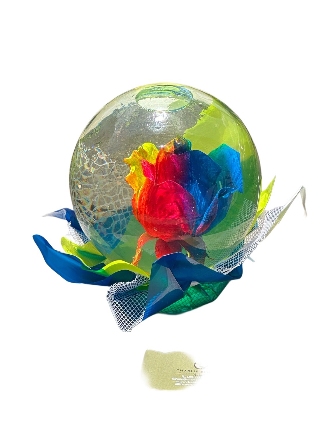 Rainbow Rose Globe
