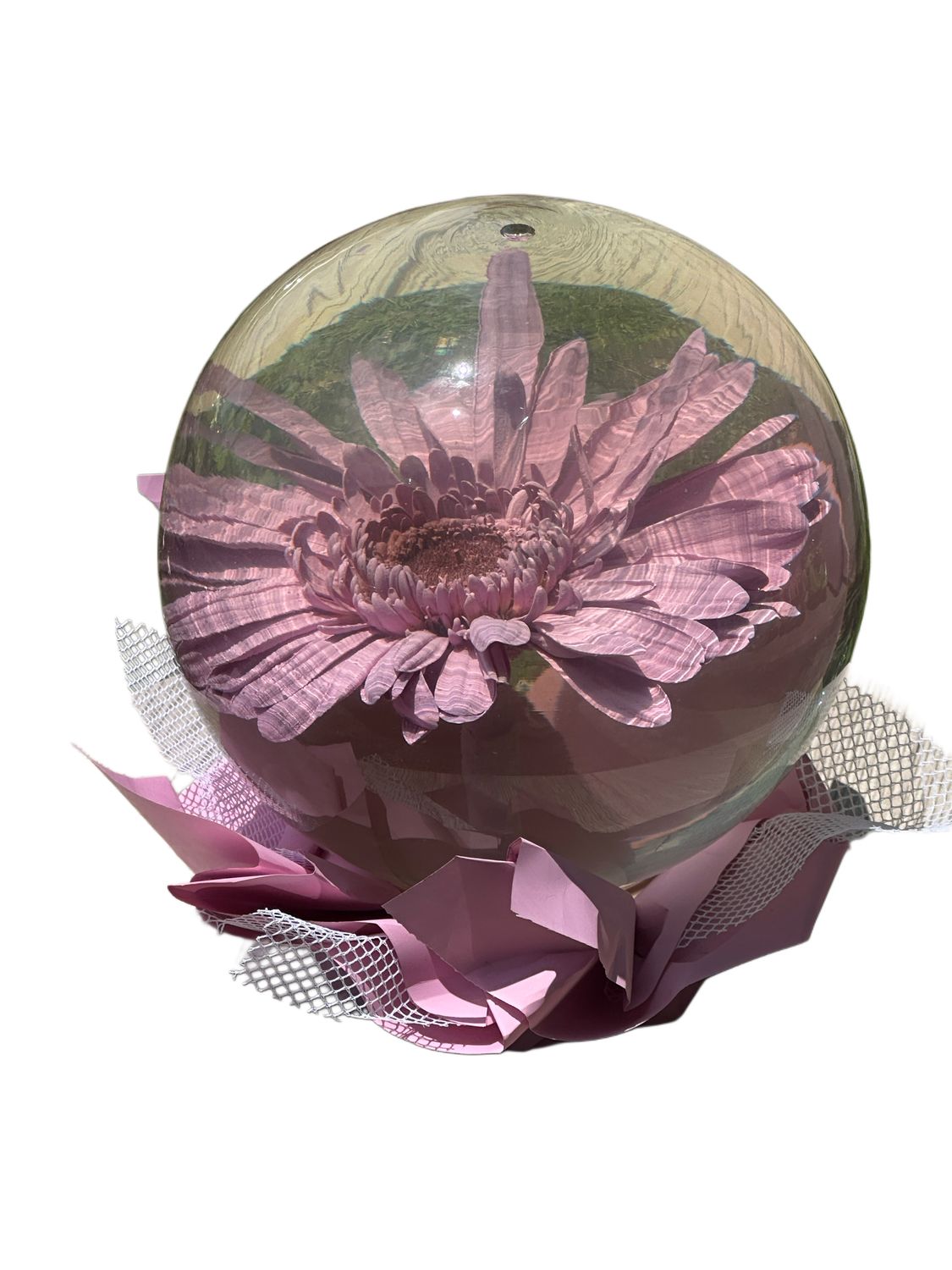 Purple Daisy Globe