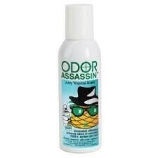 *Small Items* Odor Assassin Spray Juicy Tropical