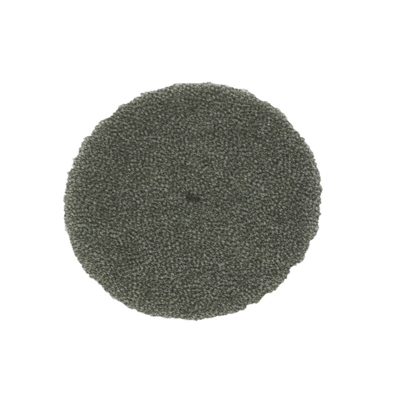 *Filter* Proteam Dome Foam Filter