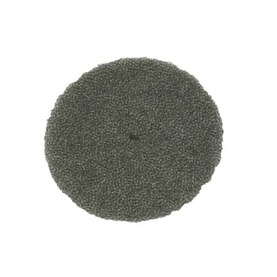 *Filter* Proteam Dome Foam Filter