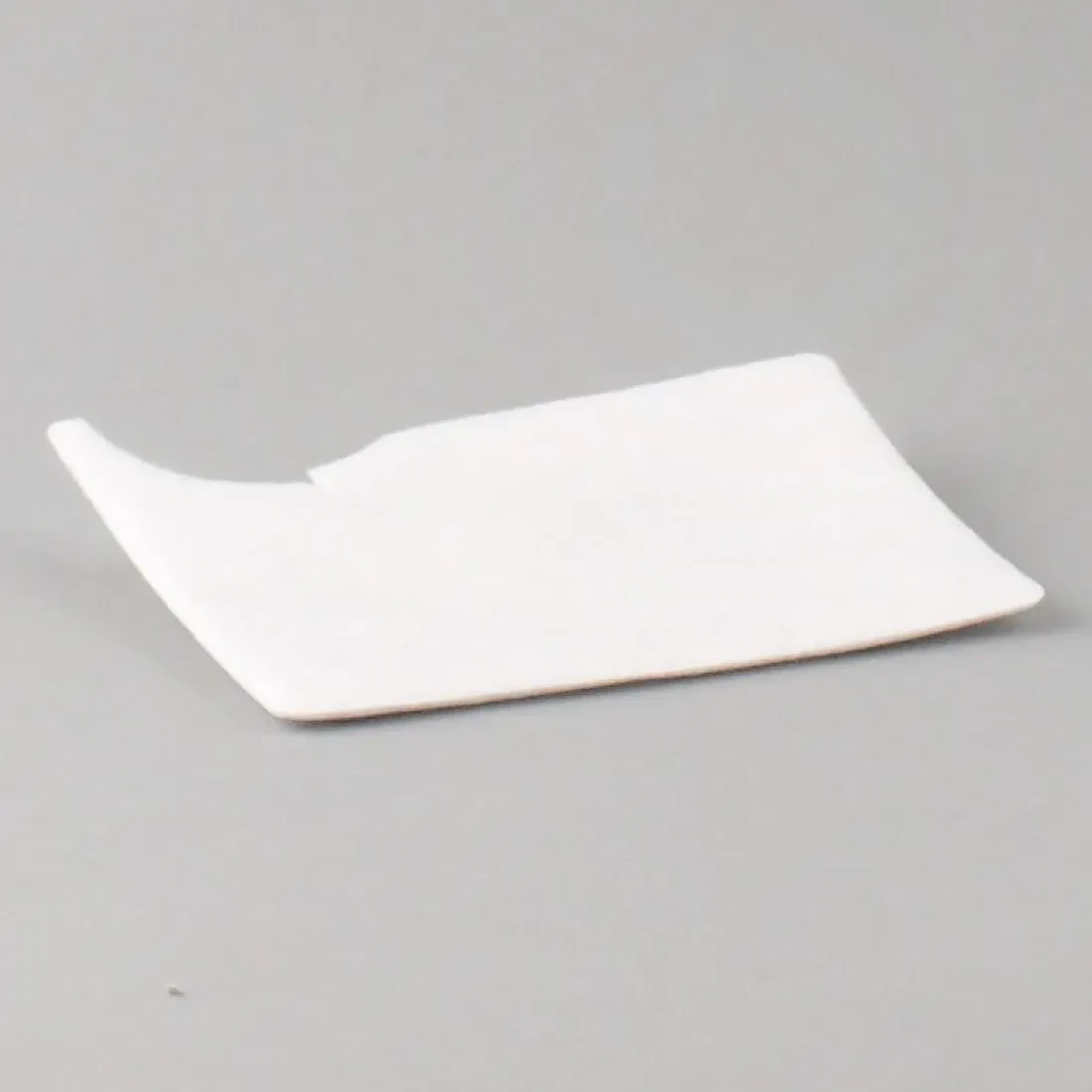 Riccar 8000 Series Exhaust Filter (2 Piece Set)