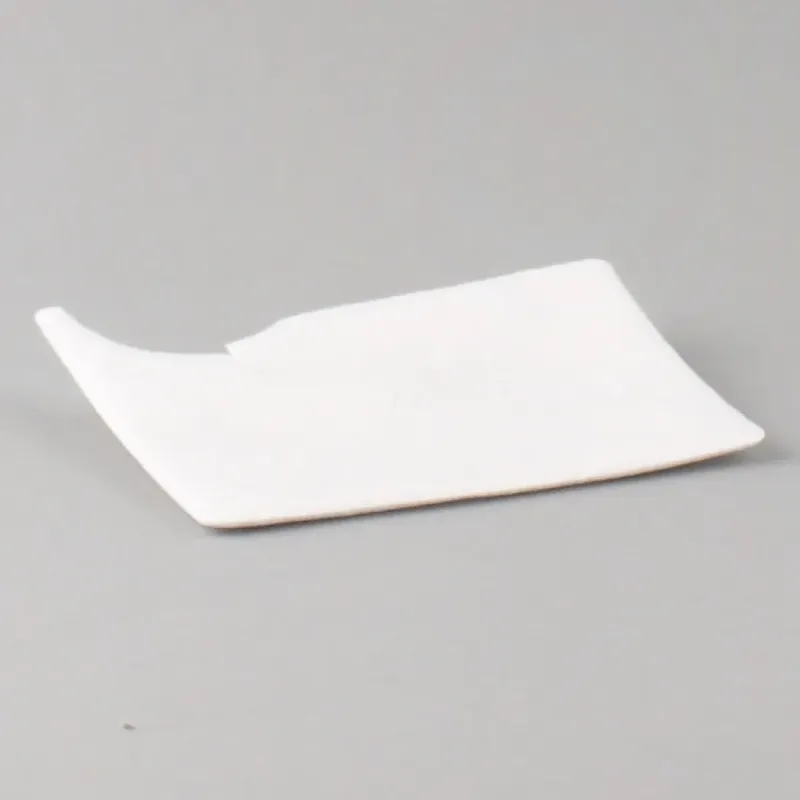 Riccar 8000 Series Exhaust Filter (2 Piece Set)