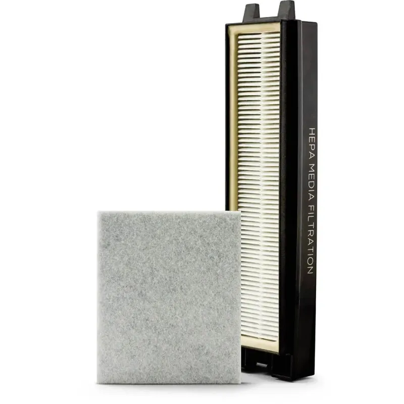 Riccar R25D Filter Set