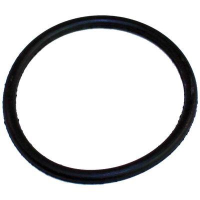Sanitaire / Eureka Round Belt