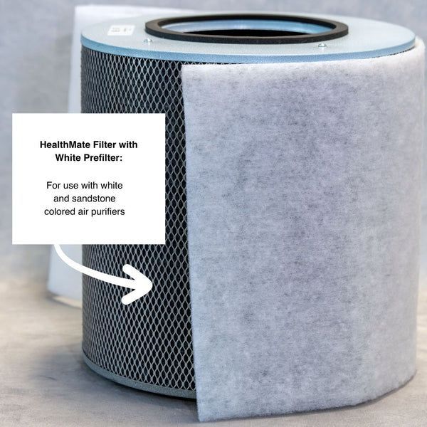 Austin Air HealthMate Filter