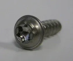 SEBO Screw, 4 x 13 Tx 20 (single), for X7/X8, G4/G5, DART, SOFTCASE, 370 COMFORT, 300/350, D & E