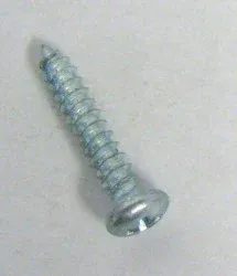 SEBO Screw C 2.9 x 16 (single), for D series