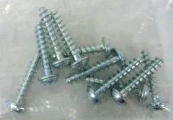 SEBO Screw STS 4 x 20-T20 (10 pack), for FELIX and E series, DART, and 370 COMFORT
