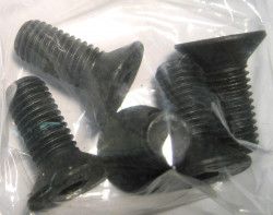 SEBO Screw M10 x 25 DIN 7991 (10 pack), for DISCO