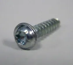 SEBO Screw STS 4 x 20-T20 (single), for FELIX and E series, DART, and 370 COMFORT