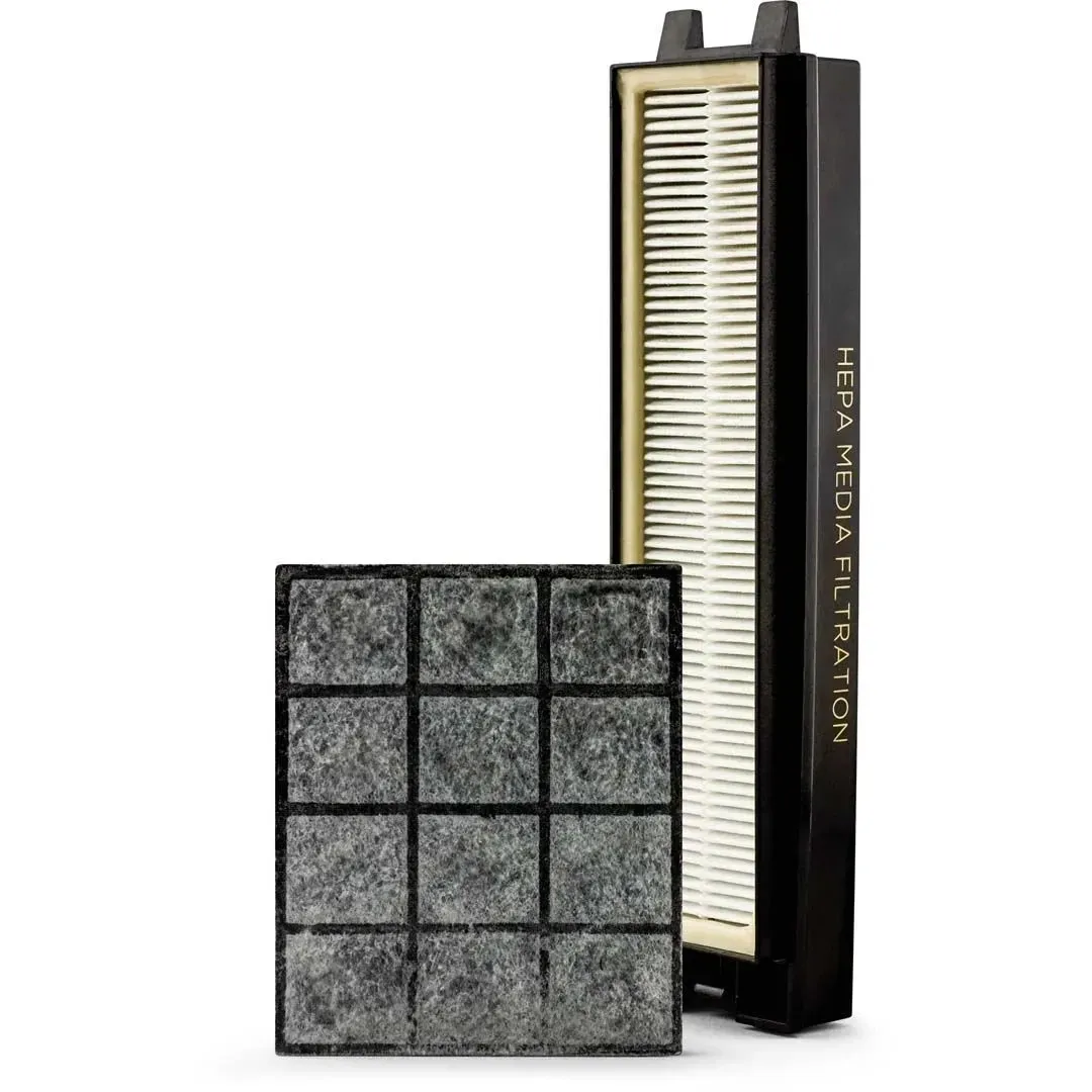 Riccar R25P Filter Set