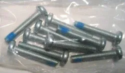 SEBO Screw AM5 x 30 DIN 7985 (10 pack), for SOFTCASE and 370 ELECTRONIC