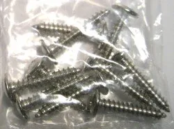 SEBO Screw F 3.9 x 21 DIN 968 (10 pack), for ET-1 and ET-2