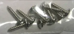 SEBO Screw C 2.9 x 13 (10 pack), for X7/X8, SOFTCASE, and DISCO